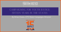 Campaigning for Youth Justice: Fifteen Years in the States