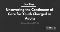 Uncovering the Continuum of Care for Youth Charged as Adults