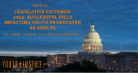 Legislative Victories 2019:  Successful Bills Impacting Youth Prosecuted as Adults 
