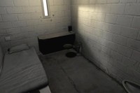 2017 Summer Institute: Session 2 –  Youth in Solitary Confinement
