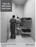 youth in adult criminal justice system