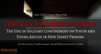 Torture By Another Name: The Use of Solitary Confinement on Youth and Young Adults  in New Jersey Prisons
